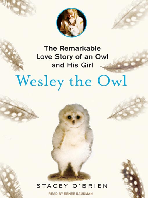 Title details for Wesley the Owl by Stacey O'Brien - Available